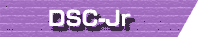 DSC-Jr